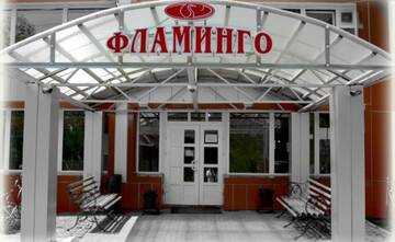 Фото номера Номер &quot;Стандарт&quot; Гостиница Flamingo Resort г. Петропавловск-Камчатский 25